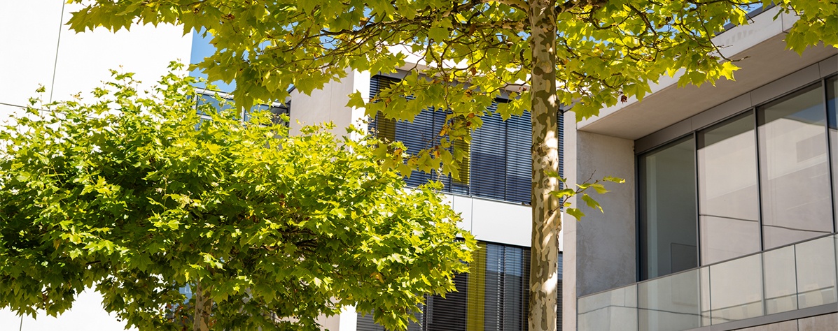 Verlinktes Bild zu den Campusbereichen. Bild zeigt das Chemiegebäude hinter Bäumen