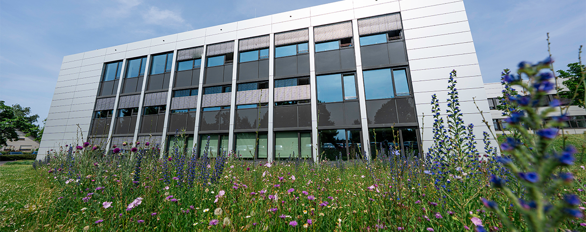 Campus 2 Rechtswissenschaft Sommer - Foto: Dominik Bingel