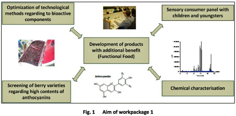 aim of workpackage