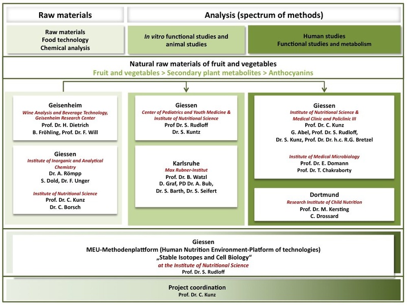 organigramm