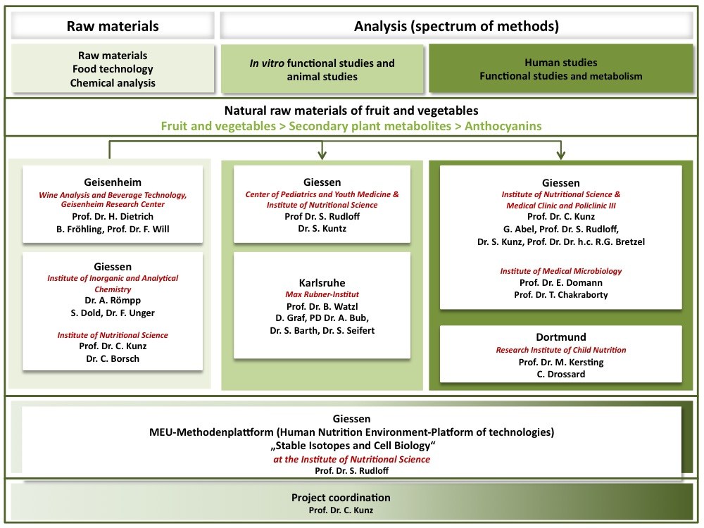 organigramm