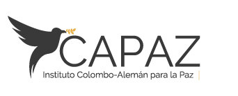 ICAPAZ Logo v3 dark 3