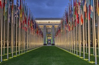 Das Institut