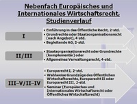 Nebenfach Übersicht Europäisches und Internationales Wirtschaftsrecht