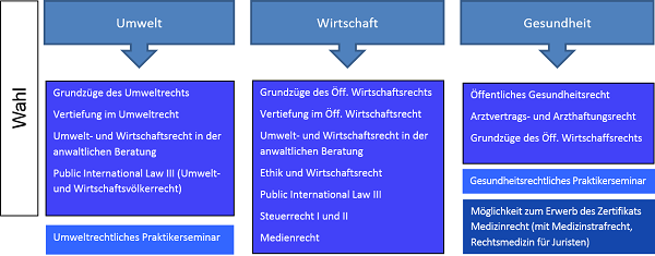 Graphik Wahlfächer SPB5 600