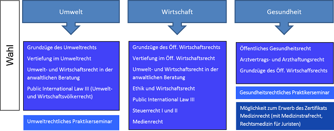 Graphik Wahlfächer SPB5 650