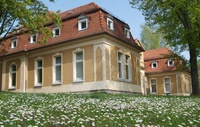 lehrstuhl-blumig.jpg