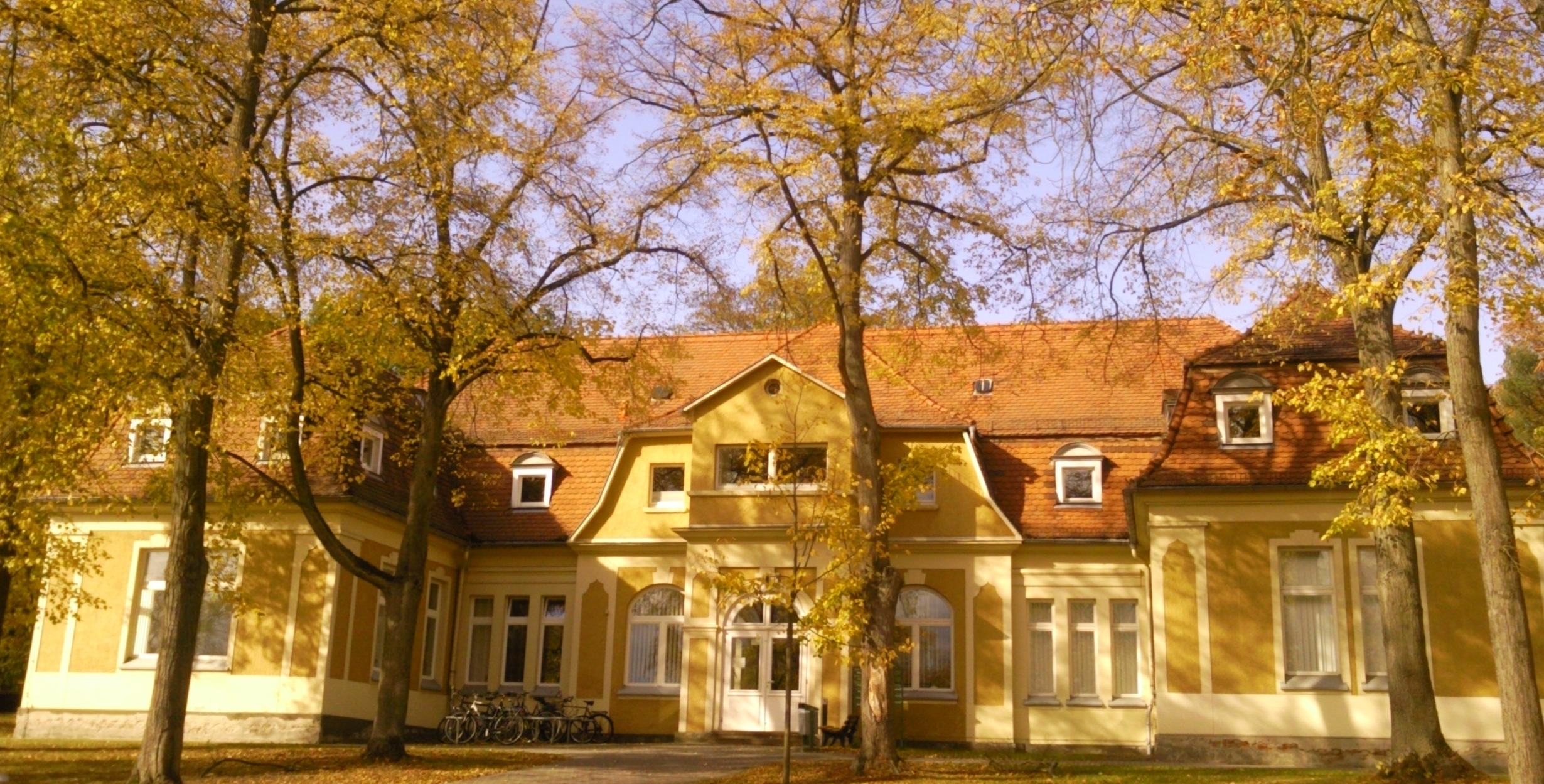 lehrstuhl