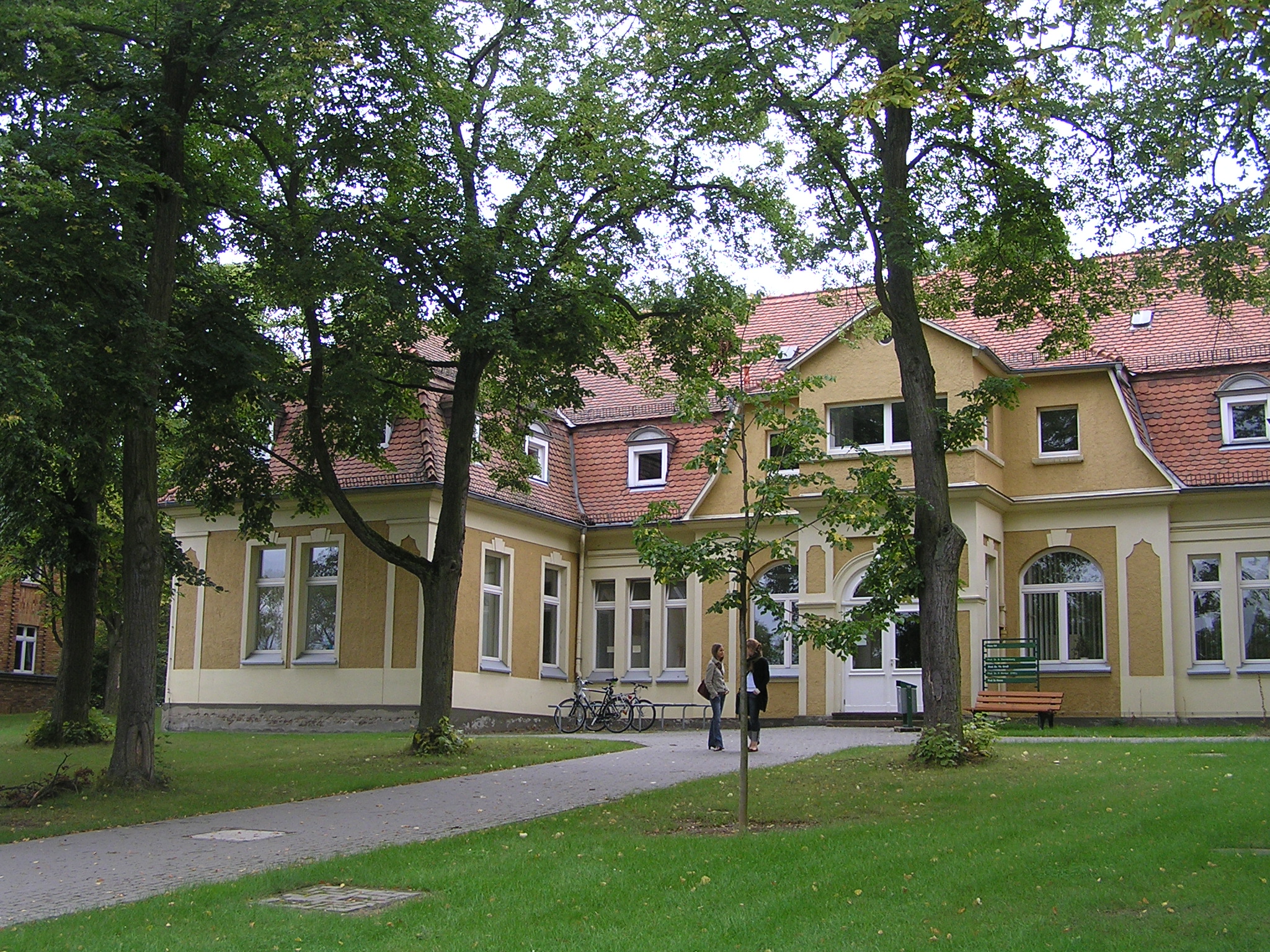 p8171852.jpg