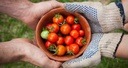 EIT Food Seedbed Programm 2020