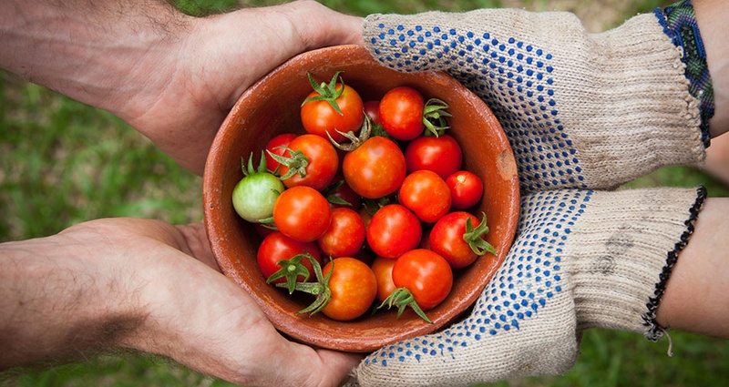 EIT Food Seedbed Programm 2020