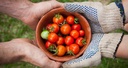 EIT Food 2020
