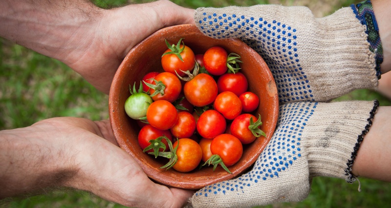 EIT Food 2020
