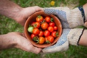 EIT Food 2020