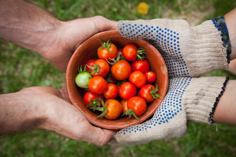 EIT Food 2020