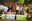 SWAP gewinnt Student Challenge: Rethink Protein 2019