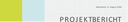 Projektbericht_Icon