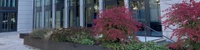 WiWi JLU Gießen Campus Herbst