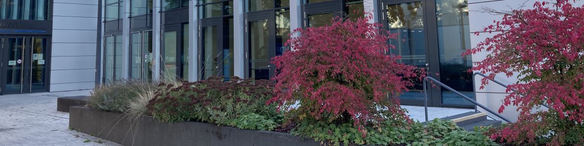 WiWi JLU Gießen Campus Herbst