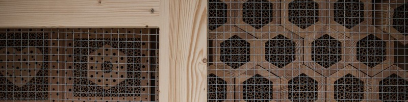 JLU WiWi Slider Wildbienen.jpg