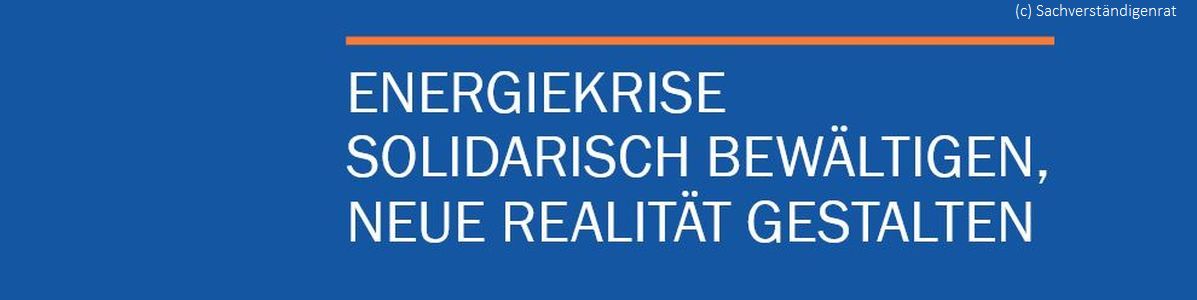 Slider Sachverständigenrat.jpg