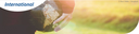 Startseite-Bereich-4: International