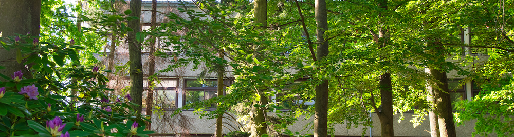 Campus Phil 2 - Haus Wald im Vordergrund
