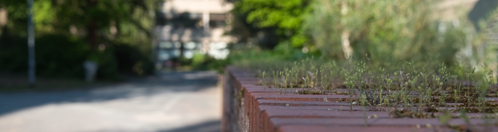 Campus Phil 2 - Mauer 2