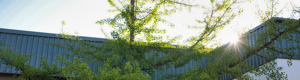 Campus Phil 2 - Haus E Innenhof 2