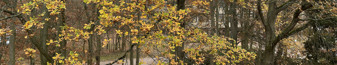 Phil II Campus im Herbst 2021
