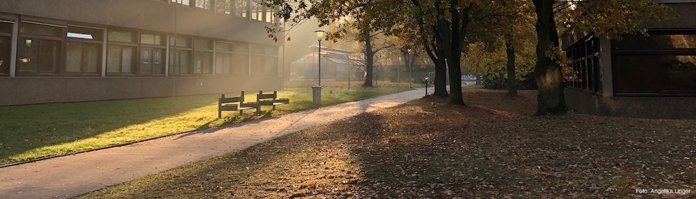 Slider: Campus Herbst