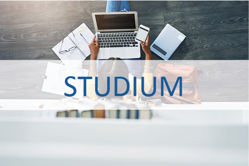 Studium