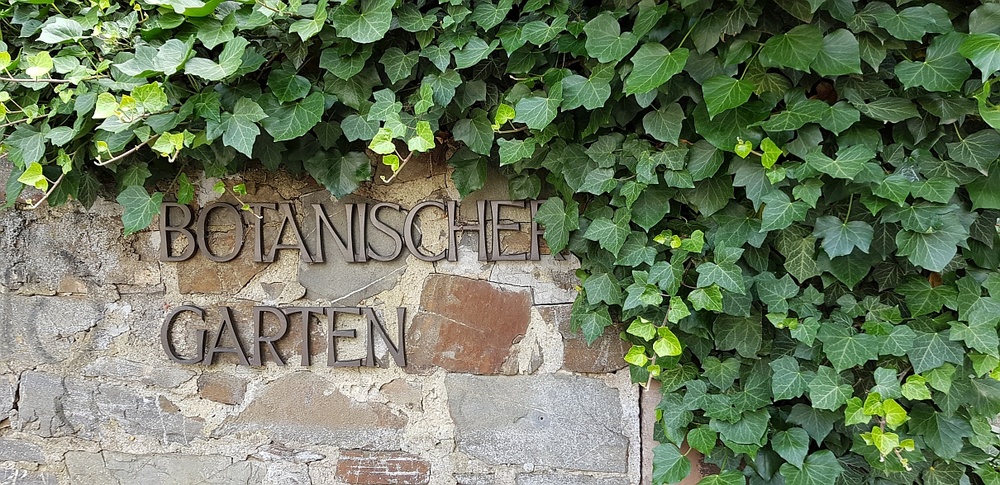 Botanischer Garten