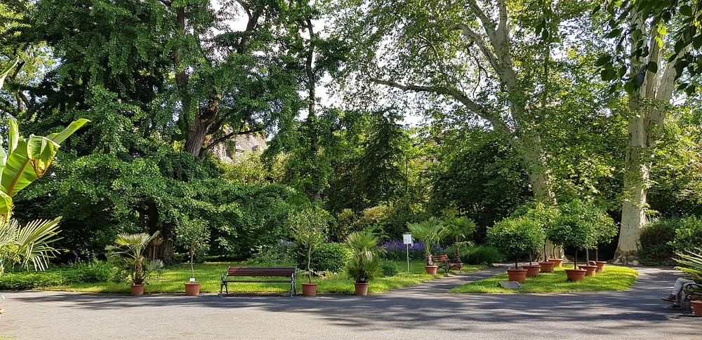 Botanischer Garten2