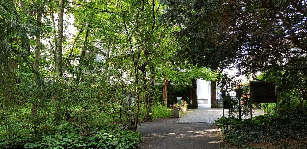 Botanischer Garten3