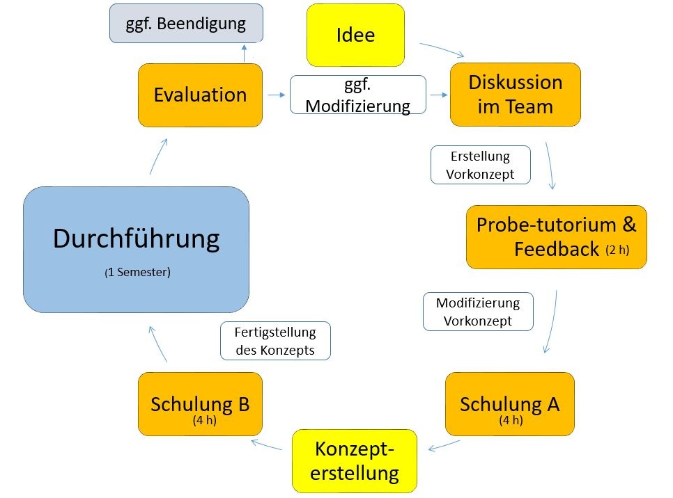 Bild Entwicklungskreislauf.JPG