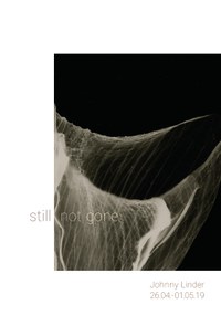 Still not gone 1