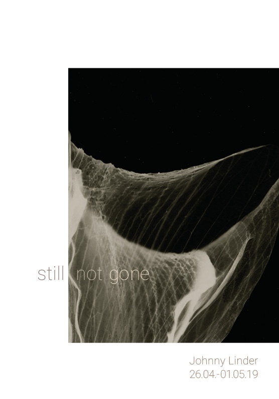 Still not gone 1