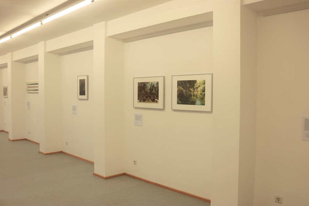 Ausstellungsansicht_11