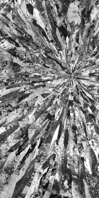 ADRIANE WACHHOLZ - BEING THETA