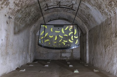 12-NoraC.Kallenbach-Bananenbewusst©joergwagner.jpg