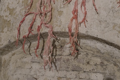 9-DianaReiter-Was-mache-ich-mit-den-Wurzeln -detail©joergwagner.jpg