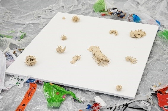 Celine Dietrich: Metamorphosen des Widersprüchlichen (Installation)