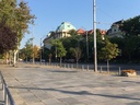 sofia