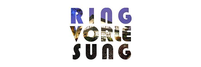 Logo Ringvorlesung