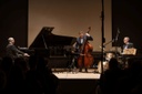 Konzert_Ted_Rosenthal_Trio_1