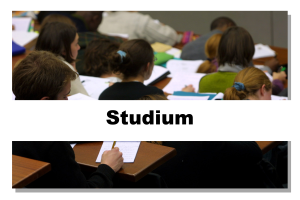 Studium Schild