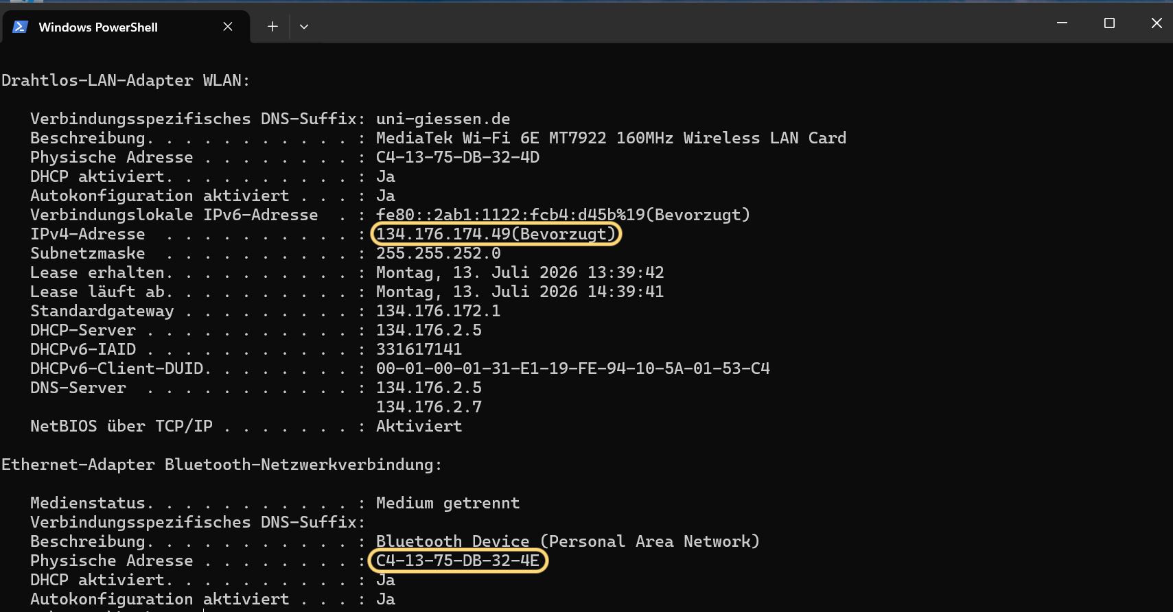 Terminal Infos Mac und IP