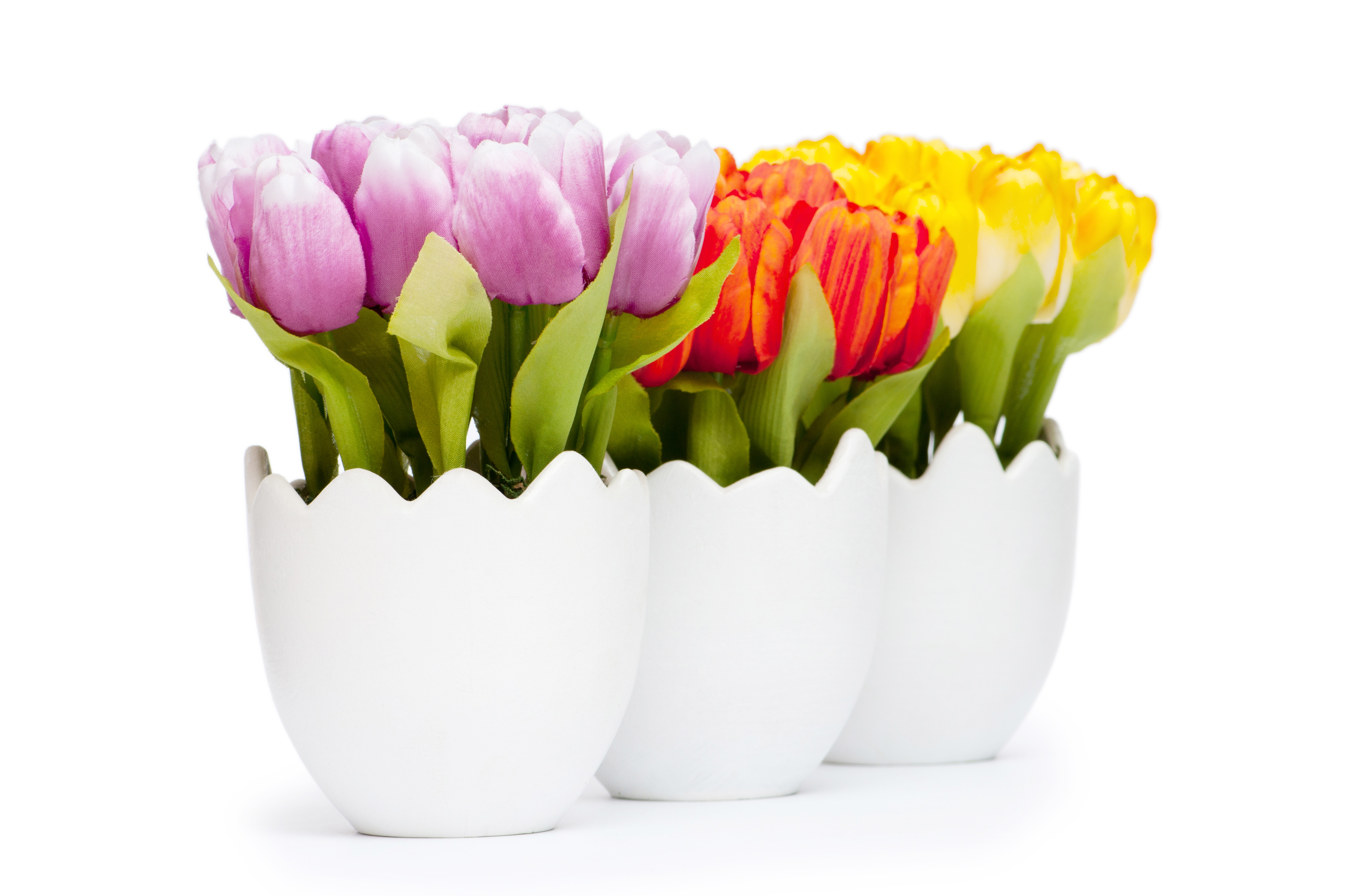 Tulpenvase