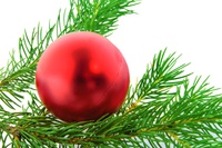 Weihnachtszweig